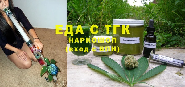 шишки Корсаков