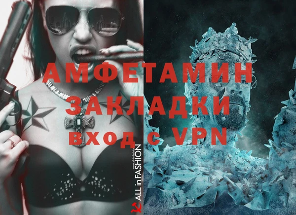 шишки Корсаков